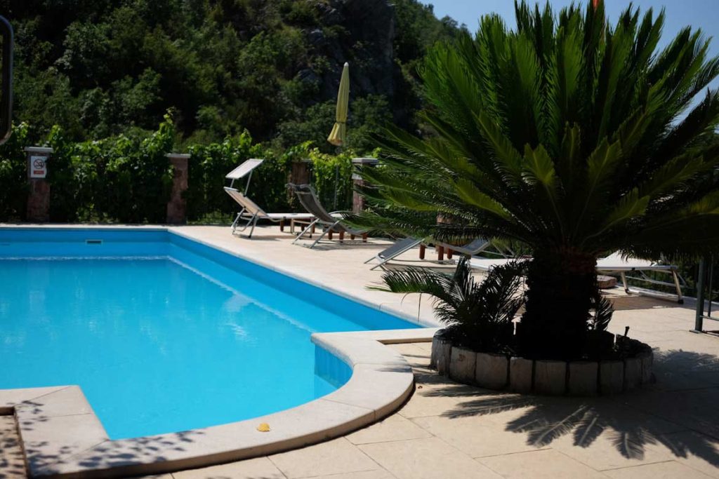 An inground pool in a backyard with lots of lush greenery