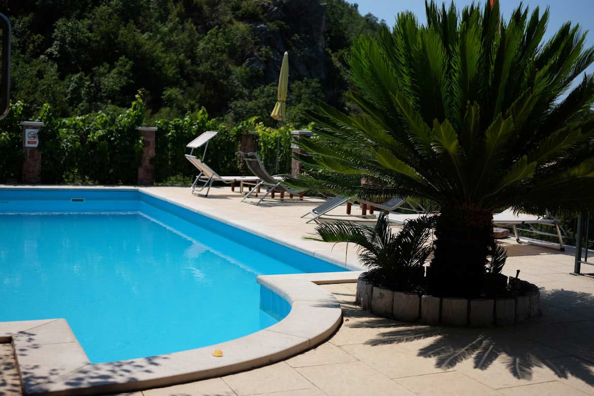 An inground pool in a backyard with lots of lush greenery
